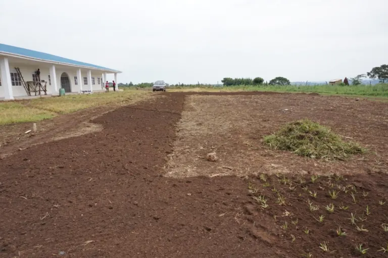 Update on school construction in September – Bild 1