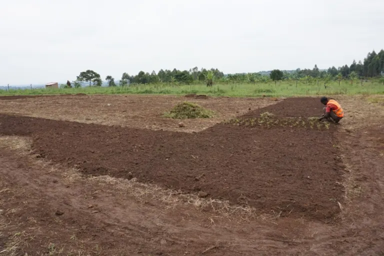 Update on school construction in September – Bild 2