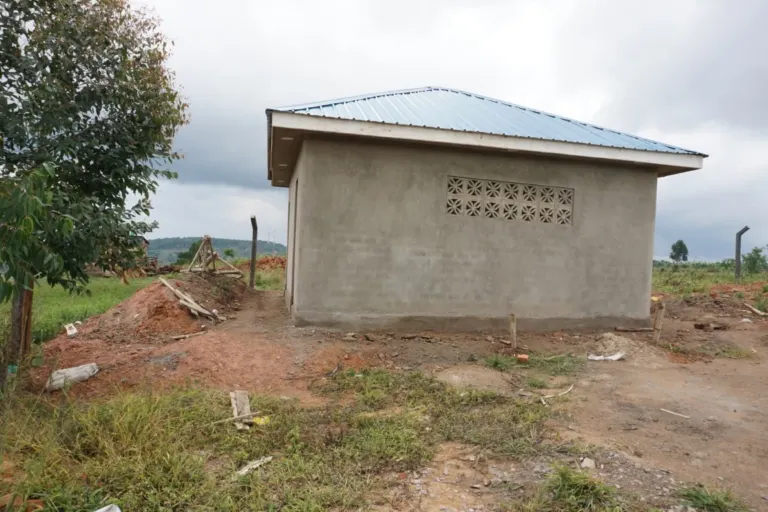Update on school construction in September – Bild 5