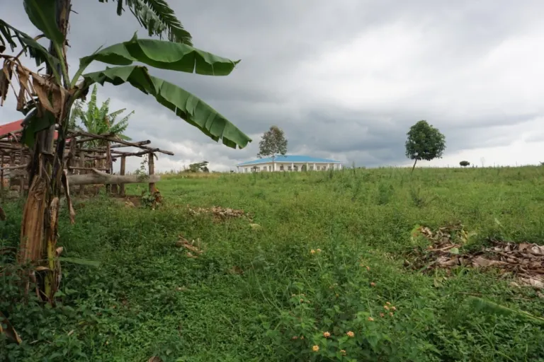 Update on school construction in September – Bild 6