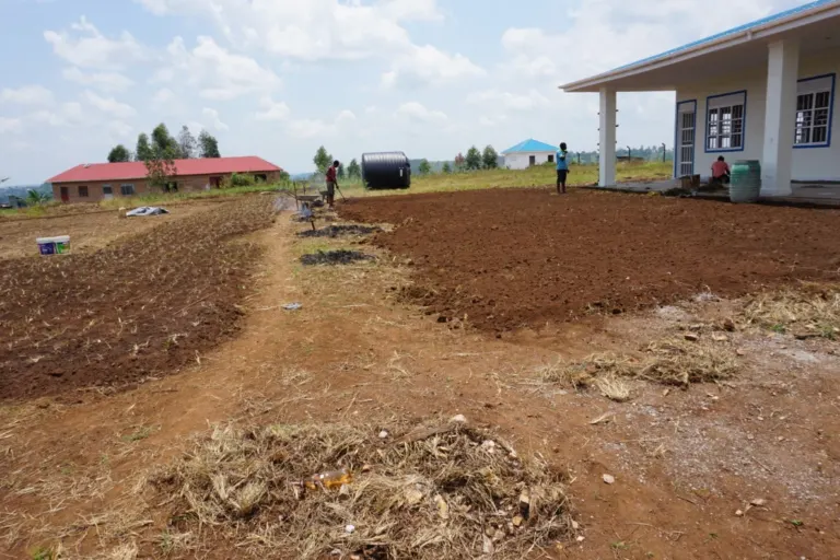 Update on school construction in September – Bild 1