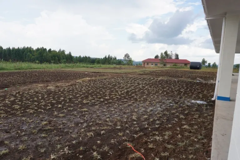Update on school construction in September – Bild 2